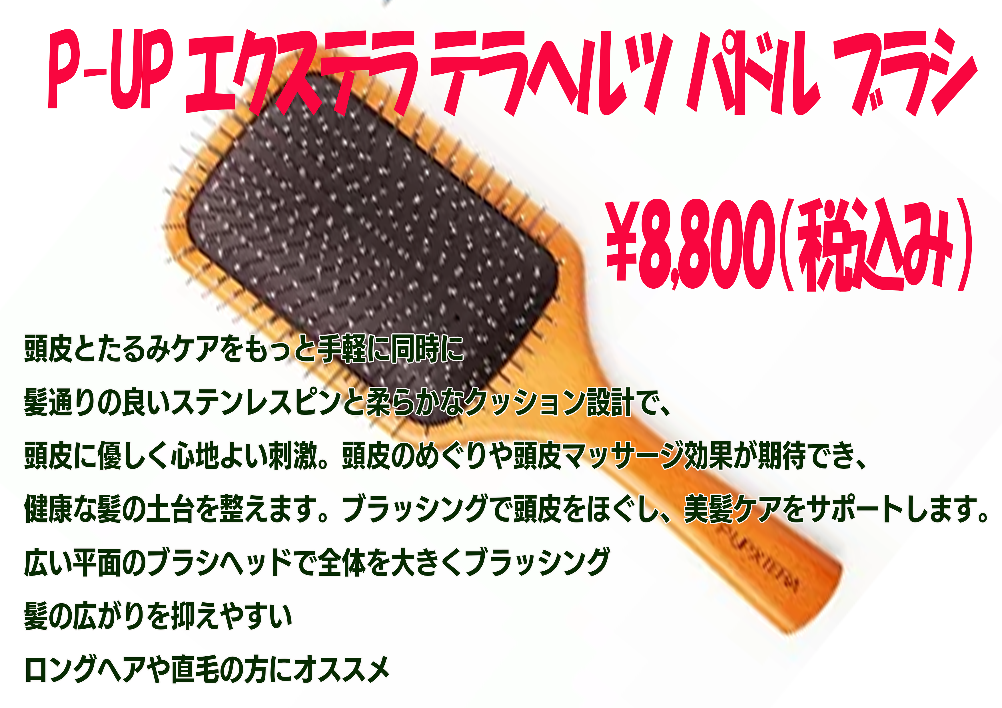 P-UP エクステラ テラヘルツ パドル ブラシの商品画像